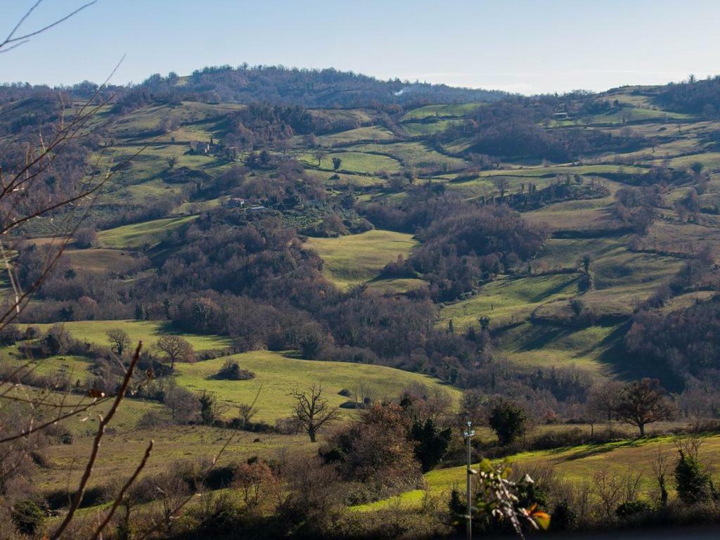 Le Casette Country House Petricci 外观 照片