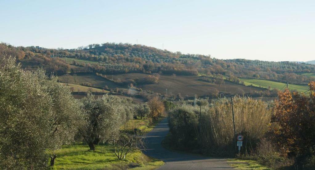 Le Casette Country House Petricci 外观 照片